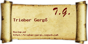 Trieber Gergő névjegykártya